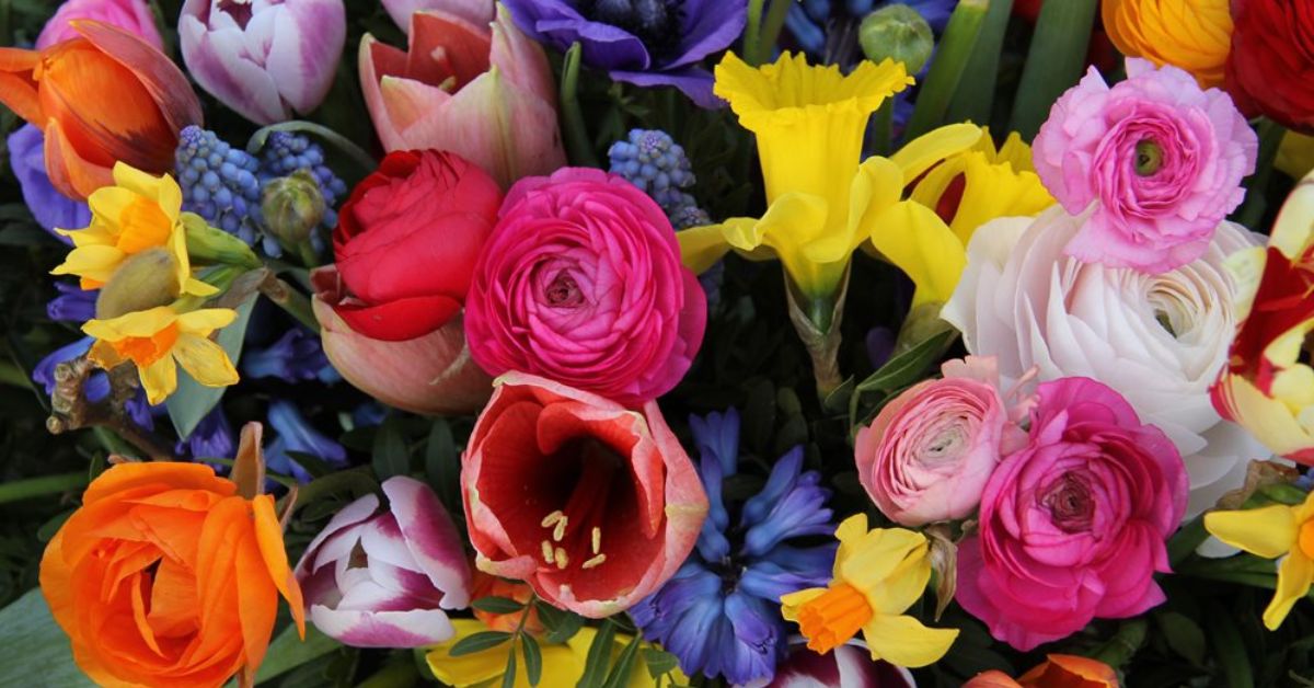 10 Interesting Facts About Flowers