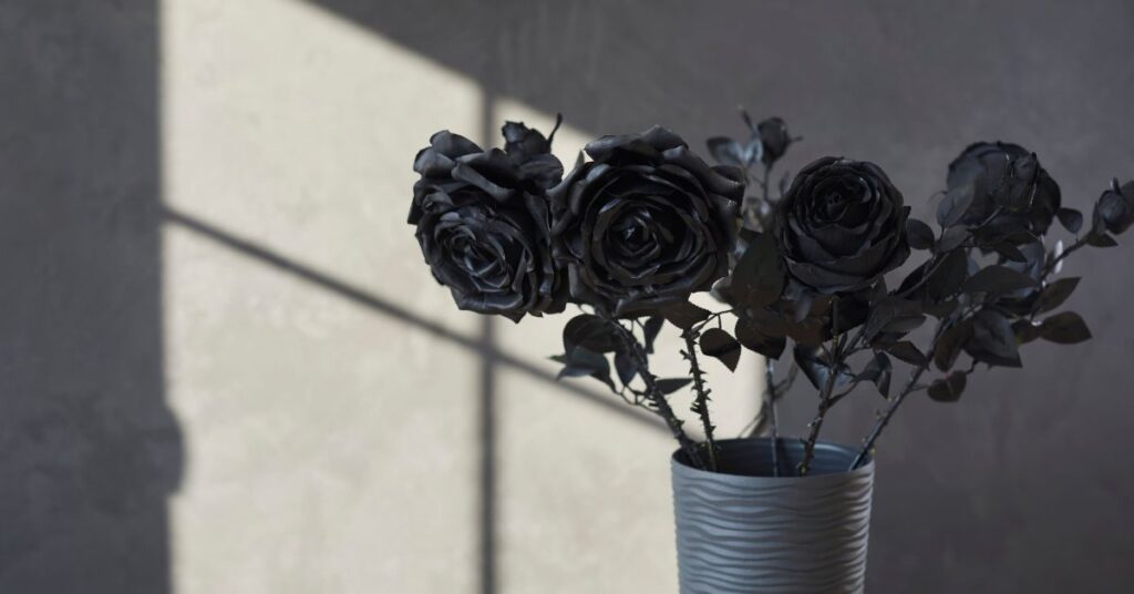 Black Roses Basics