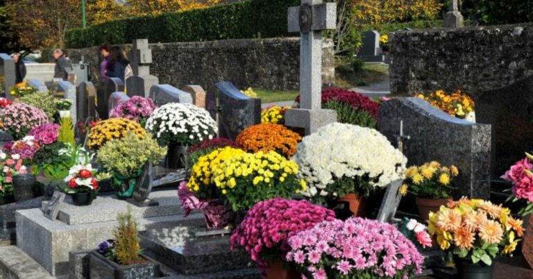 21 Flowers That Symbolize Death