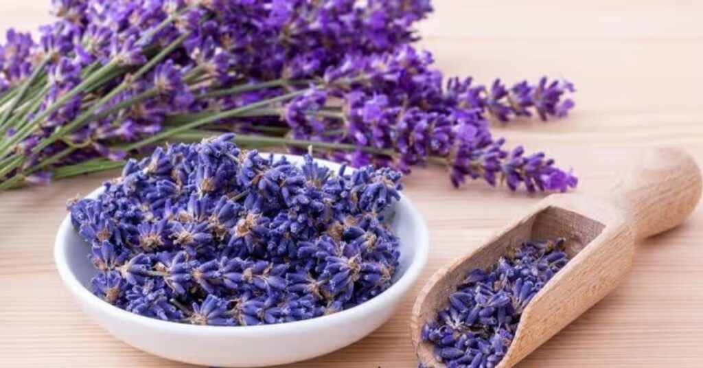 Gemini birth flower