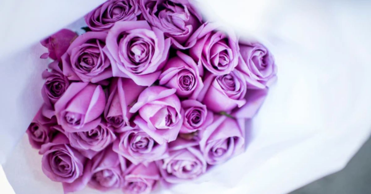 Purple Rose Meaning